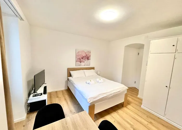 Heart Of Zurich Modern Studio Hg20