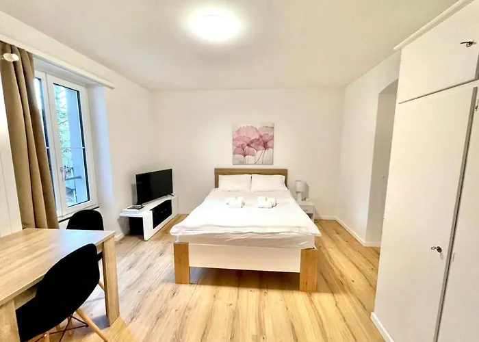 Heart Of Zurich Modern Studio Hg20